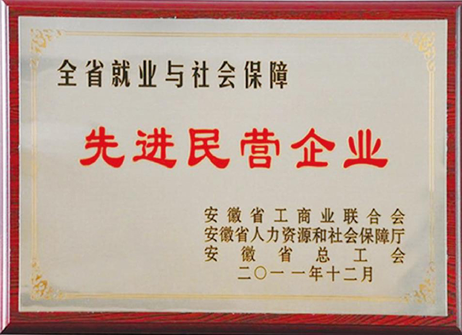 先 進民營企業(yè)